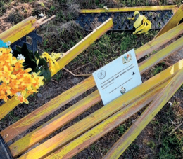 Sindaco di Cavarzere: "Una violenza alla memoria di Maila"