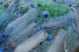 Sagre plastic free, aumentano i numeri del biodegradabile