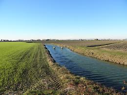 Confagricoltura Giovani ha eletto il nuovo presidente