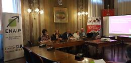 Dolo: al via il corso di AgriBusiness Manager