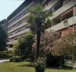 Rovigo: “Non si può tradire la nostra storia”