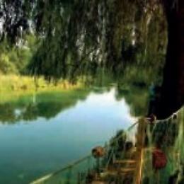 Treviso: una denuncia fino in Europa