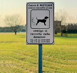 In arrivo multe sulle deiezioni animali nel Miranese