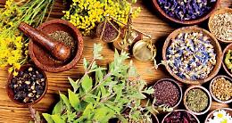 Il naturopata, chi è e cosa fa?