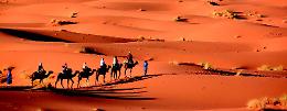 Sahara Experience