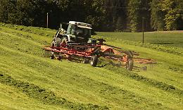 L'economia agricola veneta in difficoltà