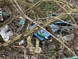 Rovigo, Aretusini: "Caccia agli incivili"