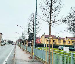 Camposampiero, rivoluzione green