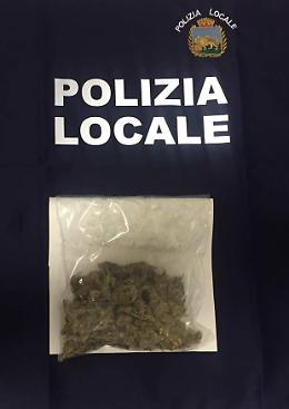 Padova, il fiuto di Lucky colpisce ancora: sequestrati altri 50 grammi di stupefacente