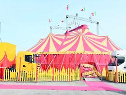 Salieri Circus Award 2024: un festival di emozioni e cultura circense a Legnago