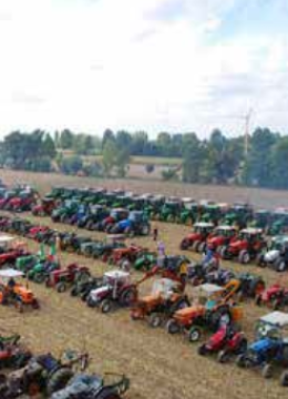 Mirano, salta la Festa dell’agricoltura