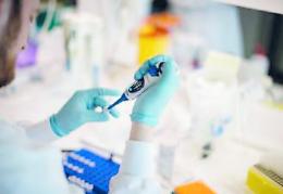 Lotta al Coronavirus: test sierologici disponibili ed economicamente accessibili in Polesine