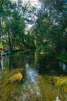 Quinto di Treviso: il Covid-19 colpisce anche l’Oasi
