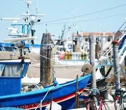Chioggia, pesca: il settore chiede aiuto