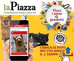 “Amici a 4 zampe”: ecco il vincitore