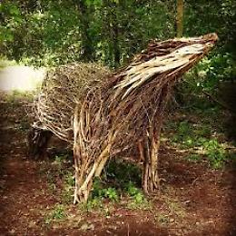 Chioggia, al via gli eventi a Bosco Nordio