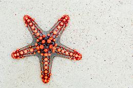 Un’estate al mare nel 2020