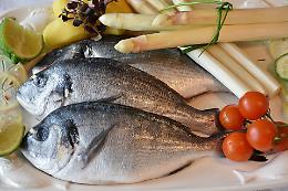 A Mossano torna la Festa del Pescegatto: due fine settimana di sapori, musica e tradizione