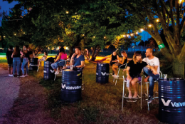 Dopo anni di abbandono e incuria  il Parco Guizze di San Giorgio delle Pertiche torna a vivere