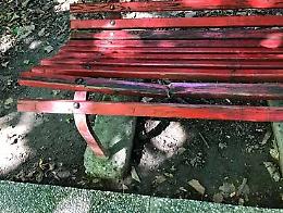 Spinea, Parco Nuove Gemme: polemiche sul degrado
