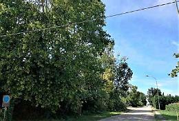 Adria, via Risorgimento, “incuria e pericoli”