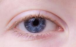 Padova, il 23 ottobre un incontro in streaming per parlare della prevenzione del glaucoma