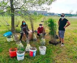 Nel Padovano, “Piantiamo alberi, semi di speranza”