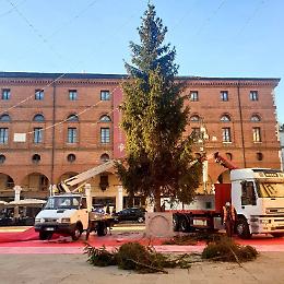 E' arrivato l'albero a Rovigo