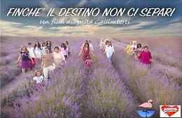"Finchè destino non ci separi", 6 storie di donne raccontate da Anita Gallimberti