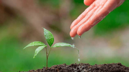 “Piccole azioni, grandi cambiamenti”