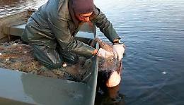 Porto Tolle: all’Ipsia nasce un corso dedicato alla pesca