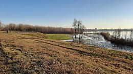 Basso Polesine e Cavarzere, acqua pedemontana potabile grazie al Savec