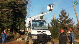 Chioggia, intervento di Veneto Agricoltura ed Enel a Bosco Nordio