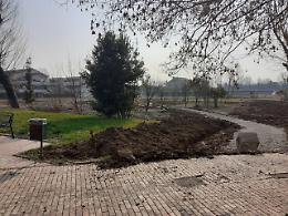 Guizza: Parco dei Salici, 157 alberi, nuova area cani e zona pic-nic