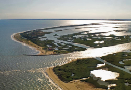 Laguna fragile, patrimonio immenso: la sfida del Veneto tra acqua, identità e futuro
