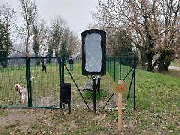 Riqualificazione ambientale a Rovigo: oltre 450 nuove piante