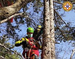 Parapendio impigliato sugli alberi sotto il Grappa: soccorsa altoatesina