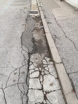 Rovigo, via Miani in condizioni disastrose