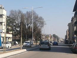 Vicenza, centomila euro per riempire di alberi viale San Lazzaro