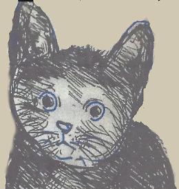 Rovigo, Gatto Tomeo diventa una videolettura
