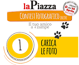 Amici a 4 Zampe: torna il contest targato La Piazza e La Piazza Web