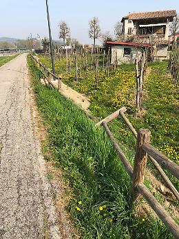 Montegrotto, anello ciclabile: staccionata già vandalizzata