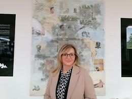 Ariano nel Polesine, arrivano otto nuove piante ad arricchire il museo di San Basilio