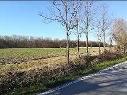 Bosco del Parauro, i finanziamenti sono in arrivo
