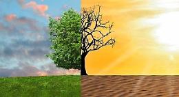 Un convegno sui cambiamenti climatici visti con gli occhi di storici e scienziati