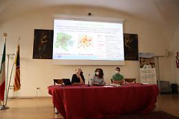 Padova: approvato il Piano d’Azione per l’Energia Sostenibile e il Clima