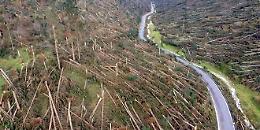 Vaia colpisce di nuovo: troppi alberi abbattuti, crolla il prezzo del legno, i Comuni piangono