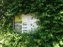 Vicenza, Spiller denuncia: il sentiero risorgimentale &egrave; oscurato e quasi impraticabile