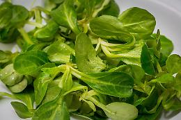 Insalata di valeriana
