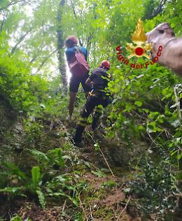 Ragazzo vola con la MTB giù dalla scarpata nel bosco: miracolato